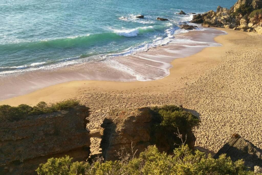 Conil Paraiso Conil De La Frontera Esterno foto
